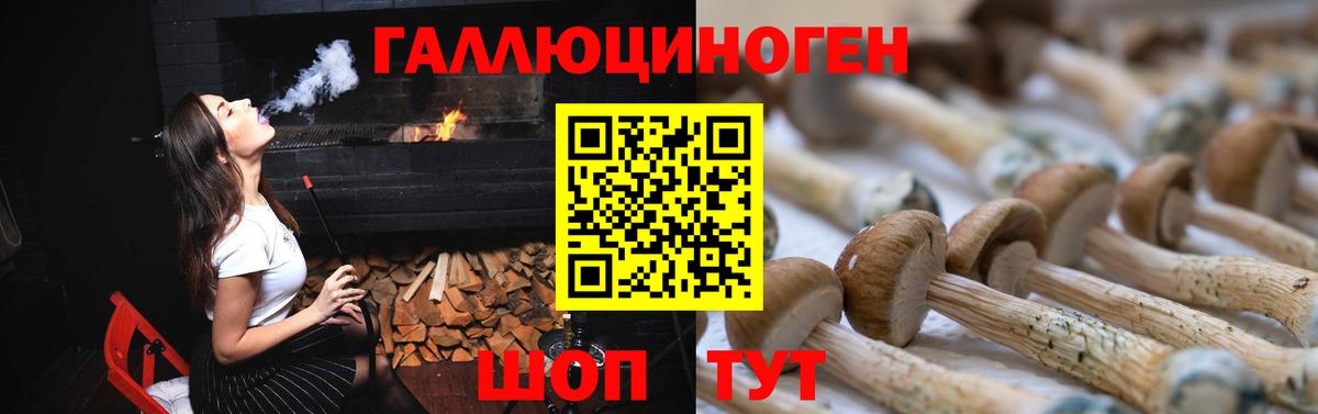 Псилоцибиновые грибы GOLDEN TEACHER Астрахань