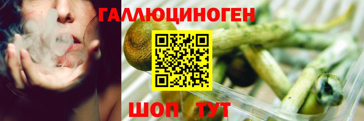 Астрахань  Галлюциногенные грибы прущие грибы  Псилоцибиновые грибы Psilocybe  Вход с VPN 